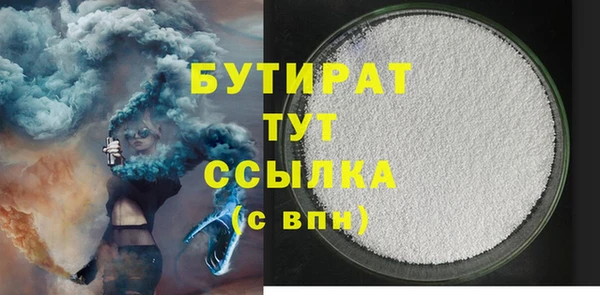 прущие грибы Новозыбков