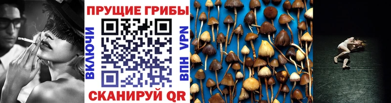 даркнет сайт  Туринск  Галлюциногенные грибы Psilocybine cubensis 